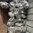 كمبريسر. مازدا 6. ومازدا cx9