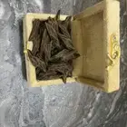 عرض خاص 100 جرام من عود التايقر درجة أولى