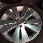 ييتوقر لدينا جنوط كابرس وكالة