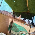 حمام باكستاني وتركي وفي فرنسي