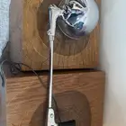 كشاف امريكي اصلي