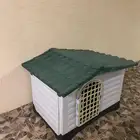 بيت قطط