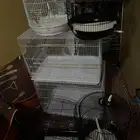 اقفاص طيور مختلفه ستة اقفاص