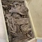 رابغ