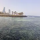 كوريلا 2015 نظيفة للبيع