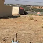 أرض ببريدة اللسيب