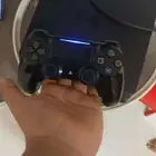 القطيف المزروع