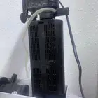 حوض أسماك