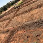الجوف- خوعاء