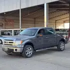 فورد غمارتين 2013 F150