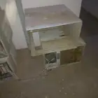 بيشه