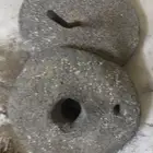 ينبع البحر