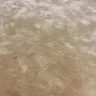 فرشة للبيع