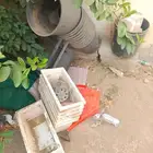 احواض زراعية العدد24