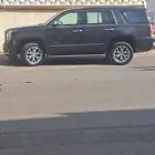 يوكون 2020