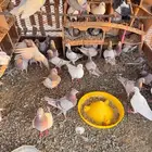 حمام فرنسي اكبر حجم قياء