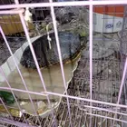 المدينة المنورة طريق العيون