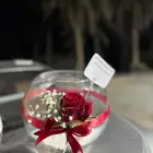 احواض اسماك