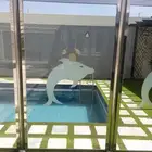 زجاج سكريت محايل