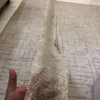 تبديله جلد ثعبان ضخم