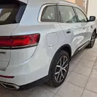 كوليوس فل بلس اصفار وارد الوكيل