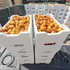 روثانه
