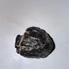 حجر يلمع  ممكن نيزك ممكن غيره للبيع