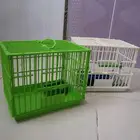 اقفاص