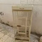 المدينة المنورة