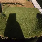 ثيل طبيعي اسباني