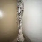 عكس لكزس 460 خلفي