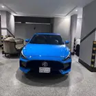 Mg gt