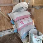 خبز ناشف للحلال