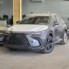 لكزس NX350 فئة AA خليجي 2025 بقسط 2544 لدى الحسن