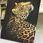 حساب شاهد عرض اسطووريالنسيم