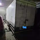 للايجار دينا شبك