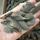 عود بنقالي طبيعي للبيع