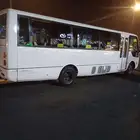روزا 33 راكب