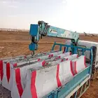 الرياض