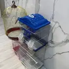 اقفاس طيور