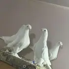 حمام تركي