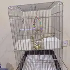 قفص ببغاء