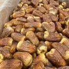 برني العيص الفاخر