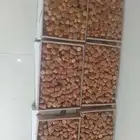 تمور القصيم