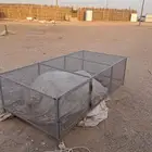 الرس