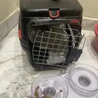 قط هملايا أنثى عمرها 3 شهور   أليفه جدا ودلوع لايوجد حد .