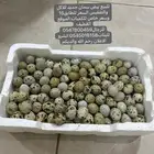 بيض سمان