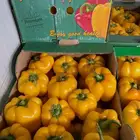 عرض خاص ومحدود على الفلفل البارد