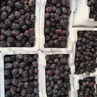 عجوه فاخره