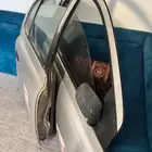 بيبان يمين ايكو